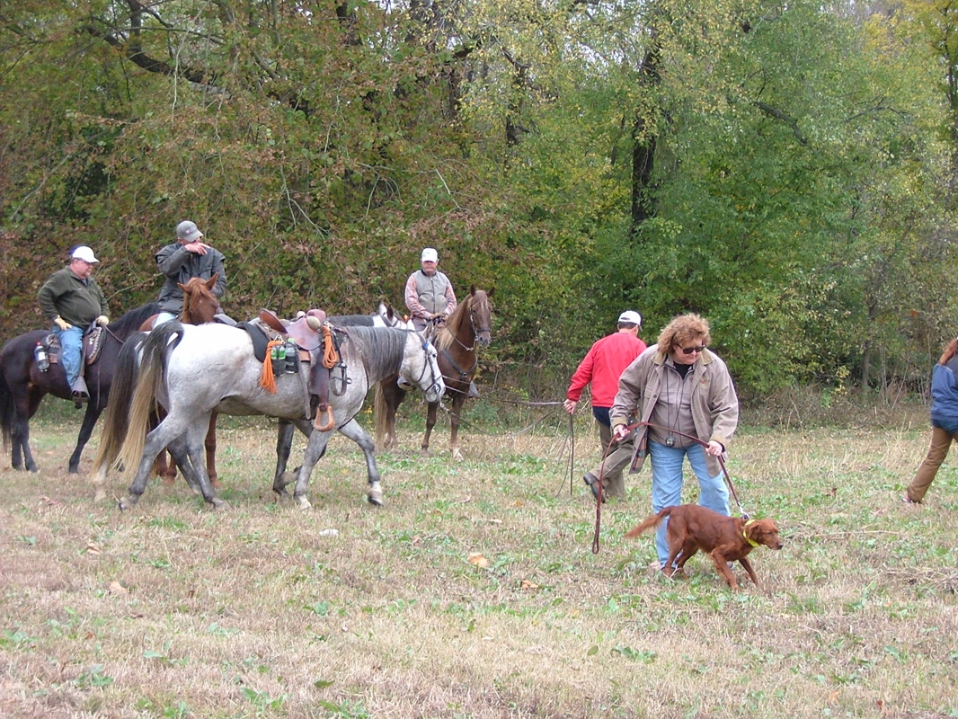 DSCF8273.JPG