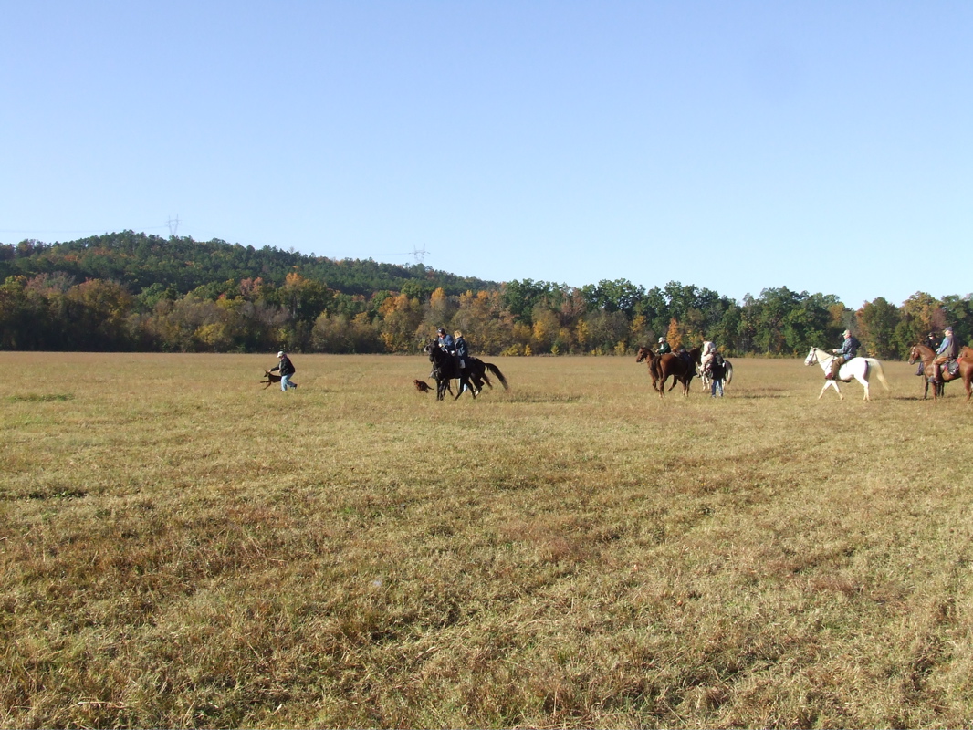 DSCF0214.JPG