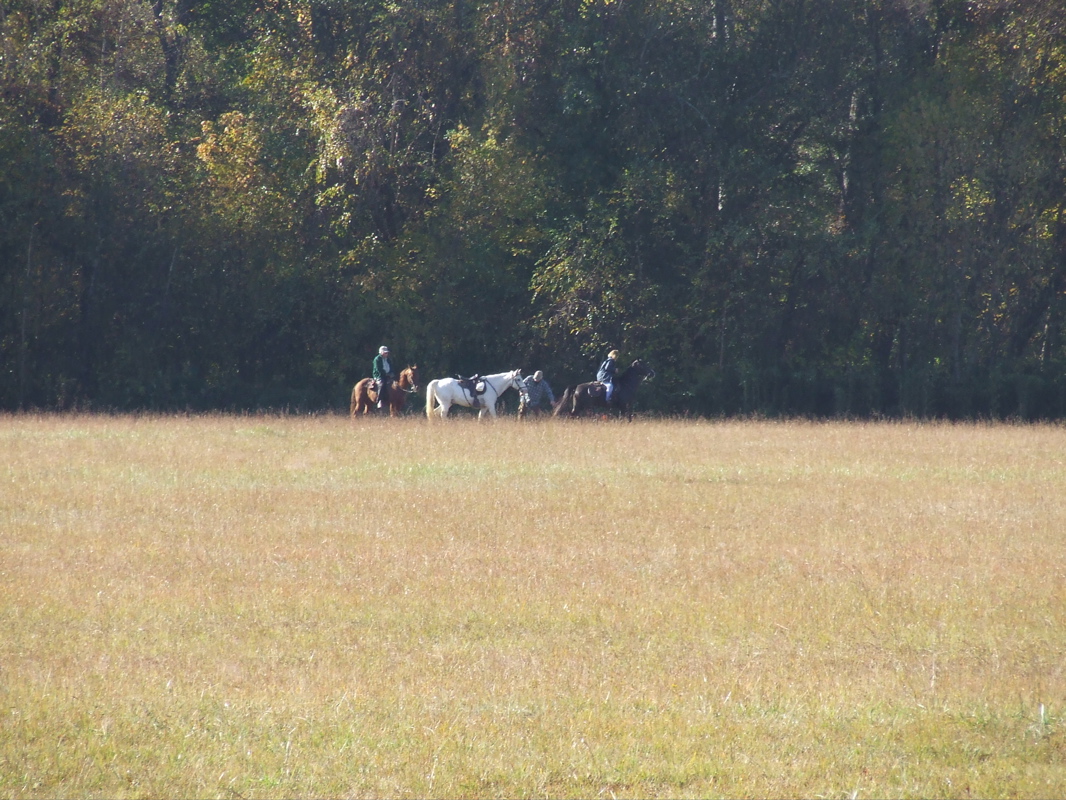 DSCF0215.JPG