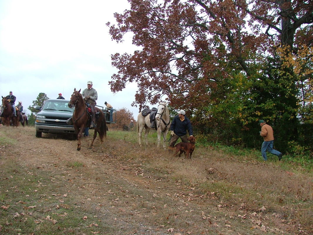 DSCF8290.JPG