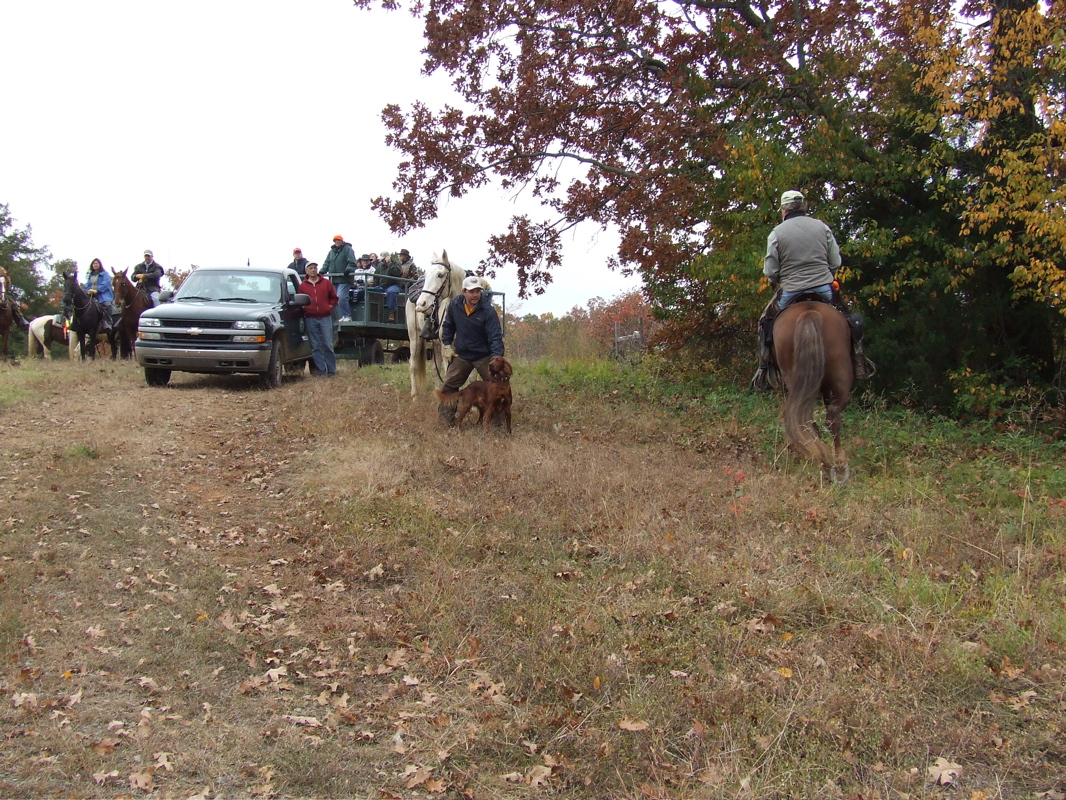 DSCF0246.JPG