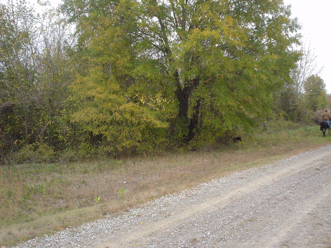DSC00874.JPG