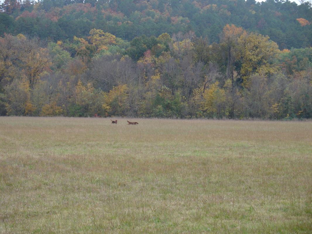 DSC01179.JPG