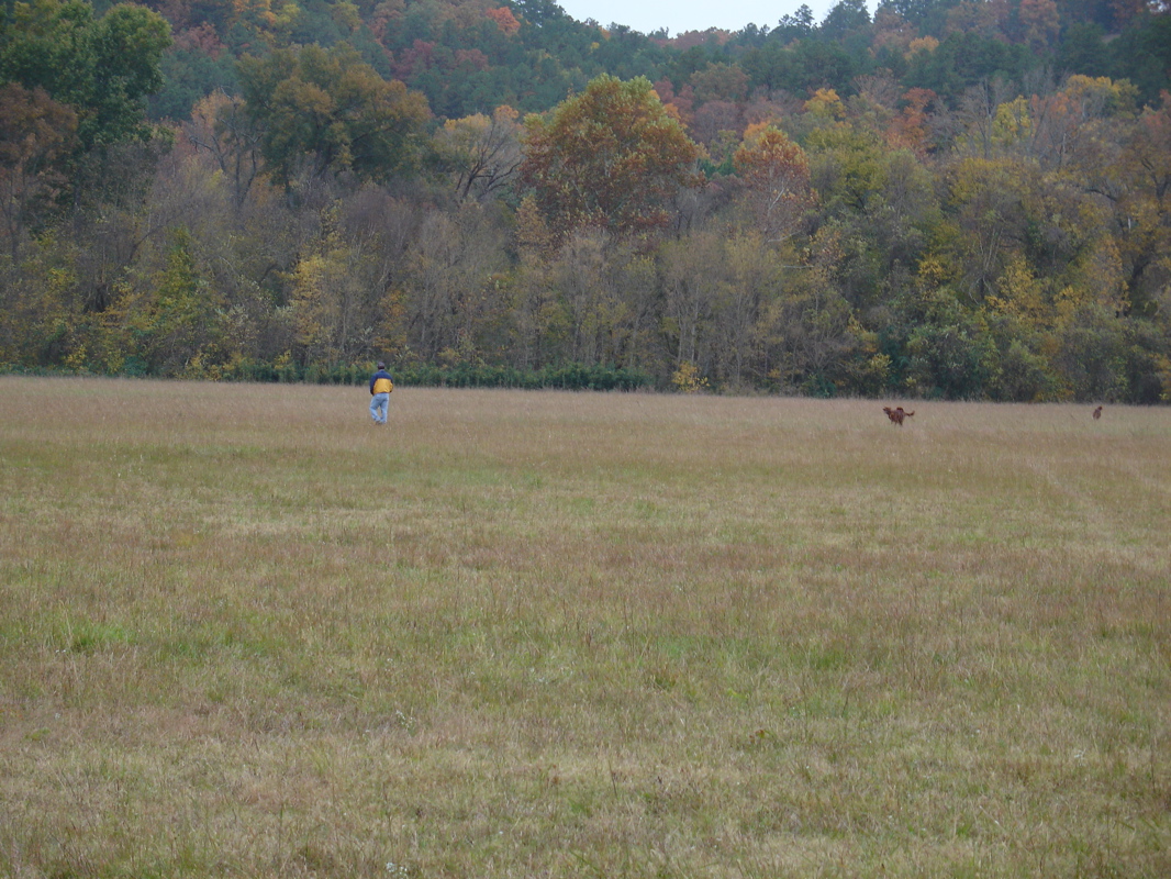 DSC01180.JPG