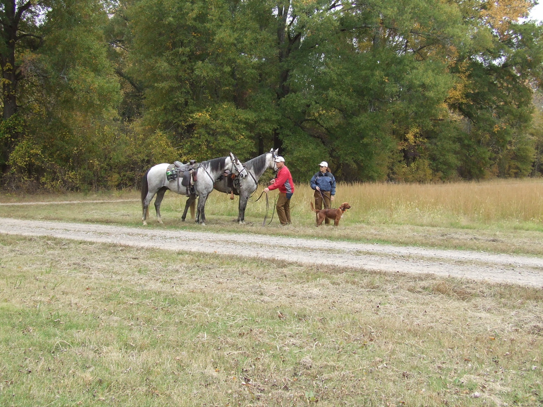 DSCF0249.JPG
