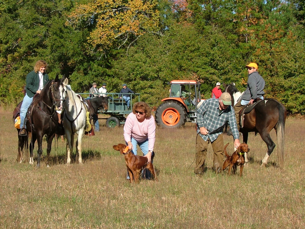DSCF8156.JPG