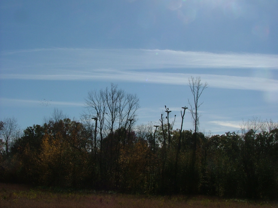DSCF8336.JPG