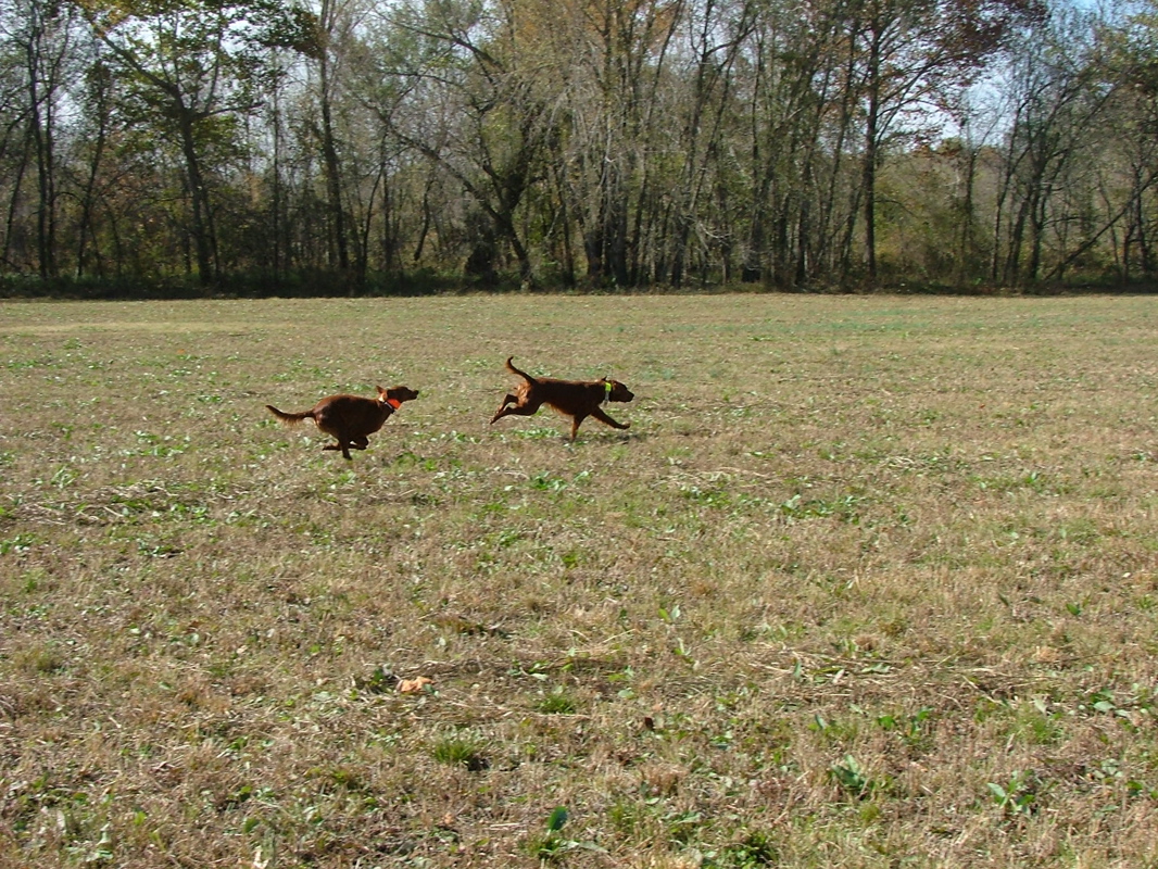 DSCF8350.JPG