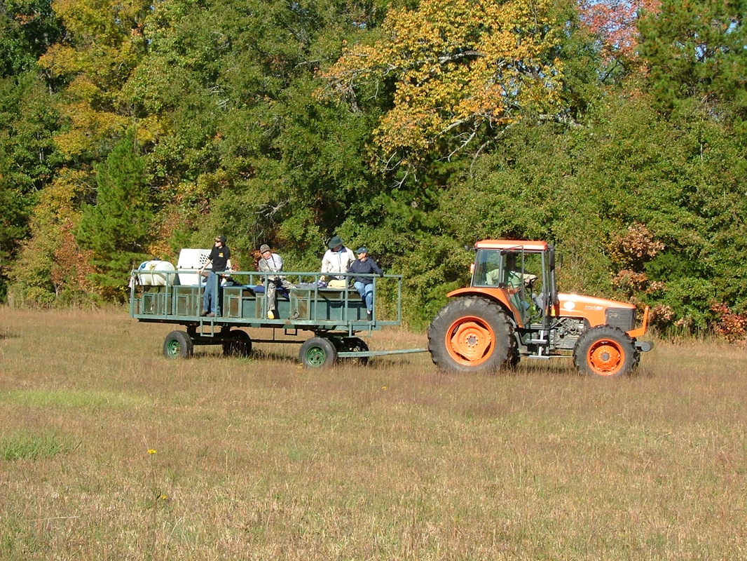 DSCF8166.JPG