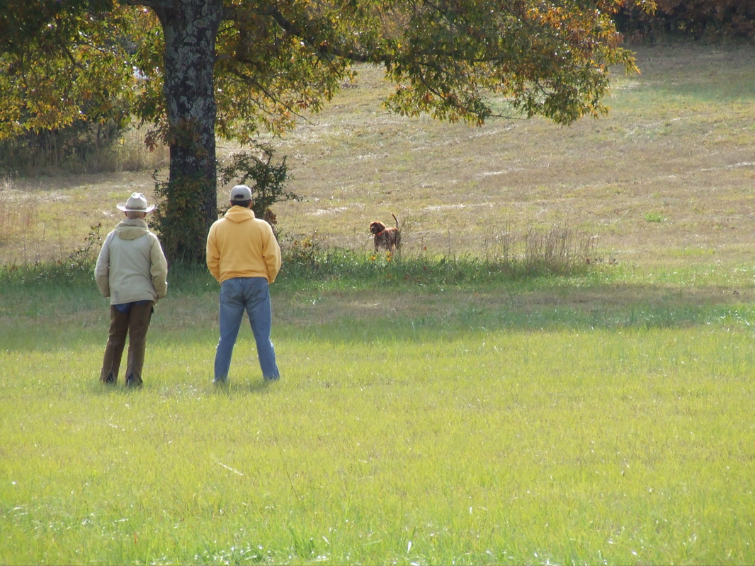 DSCF0283.JPG