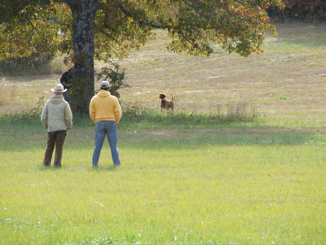 DSCF0284.JPG