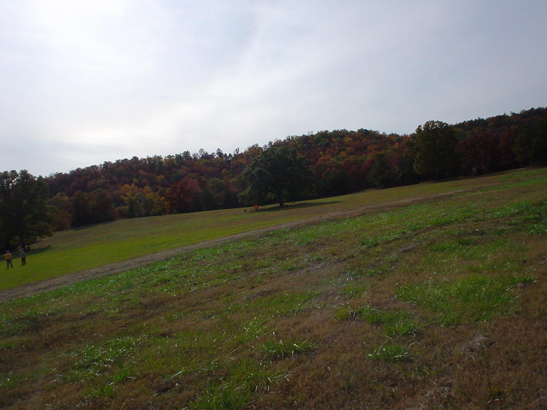 DSC00892.JPG