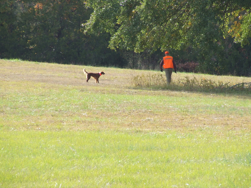 DSCF0286.JPG