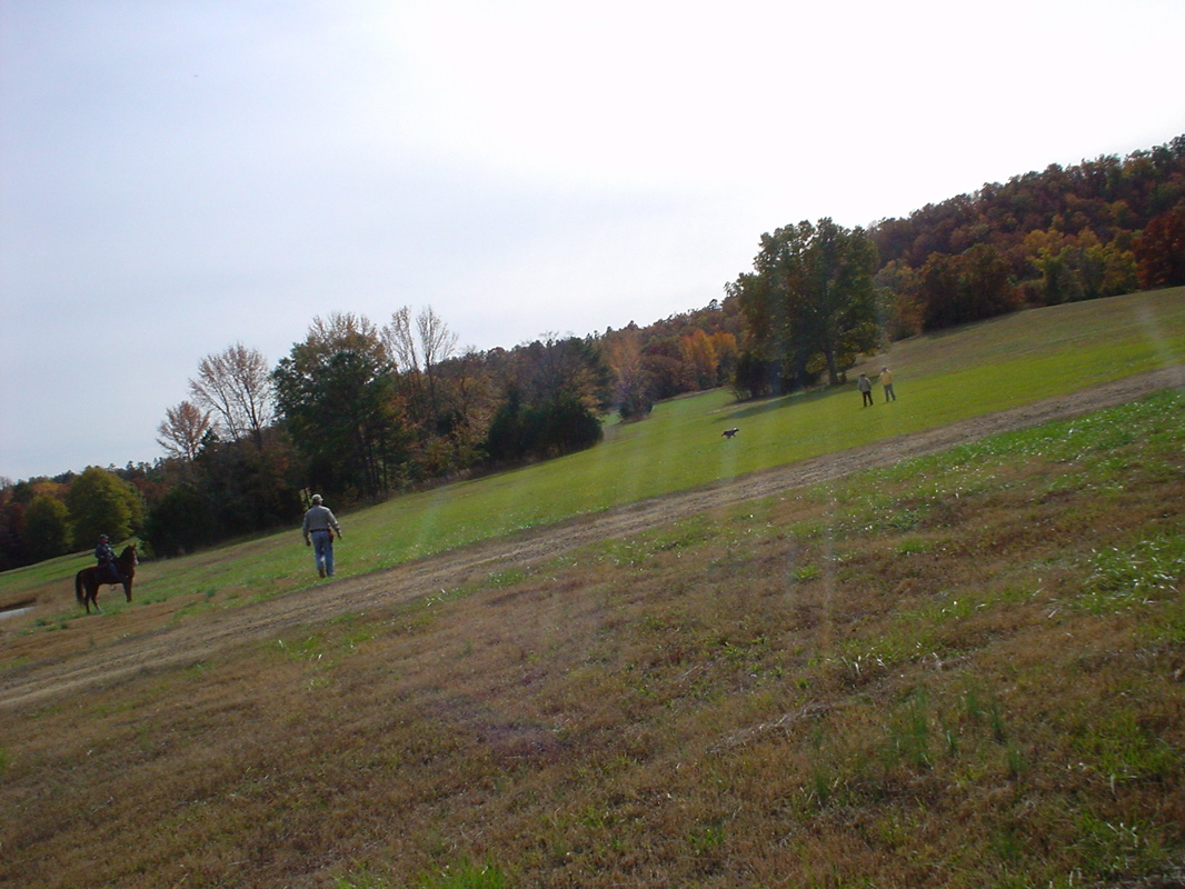 DSC00893.JPG