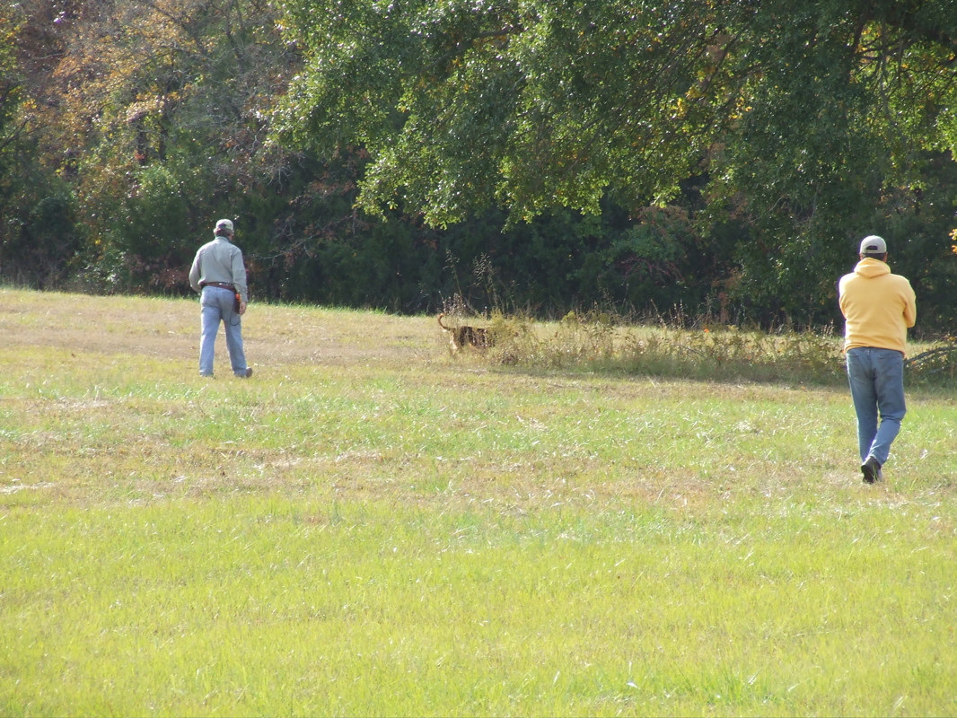 DSCF0288.JPG