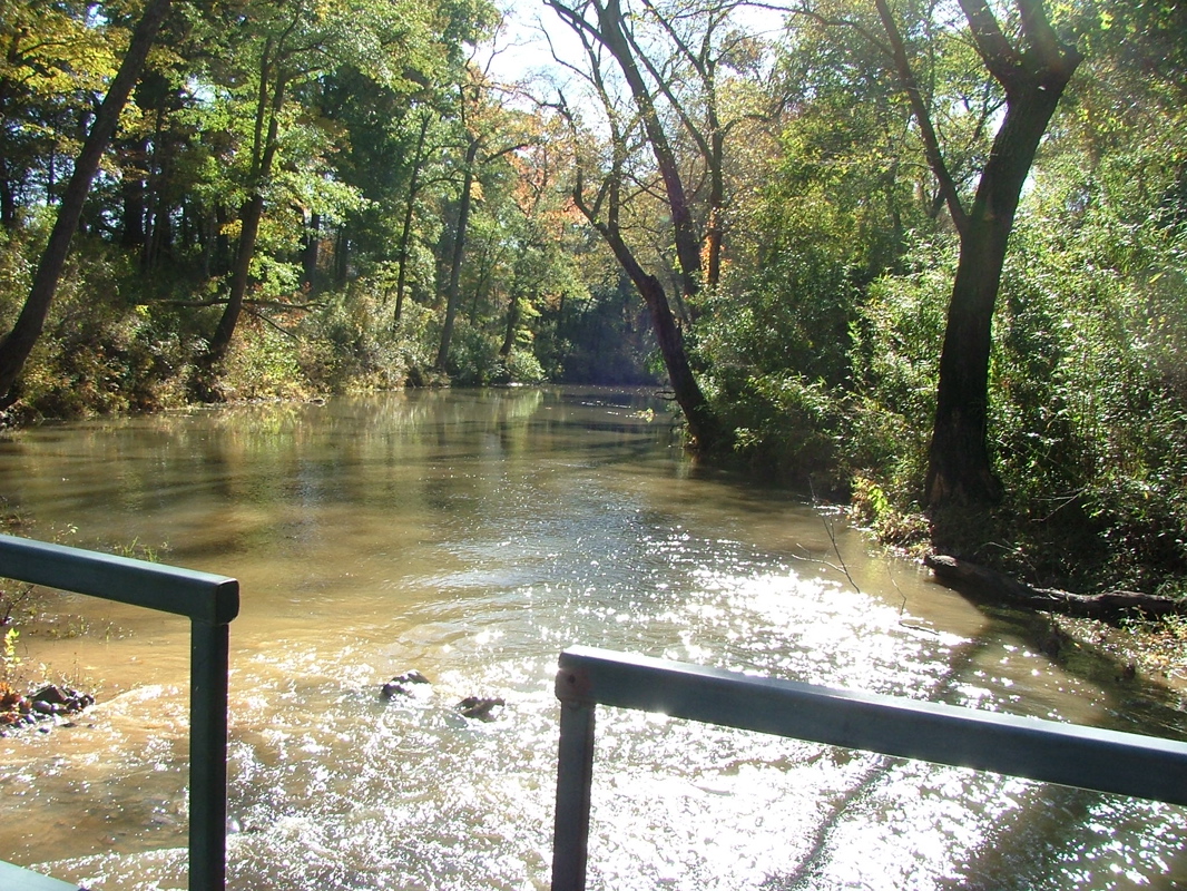 DSCF8171.JPG