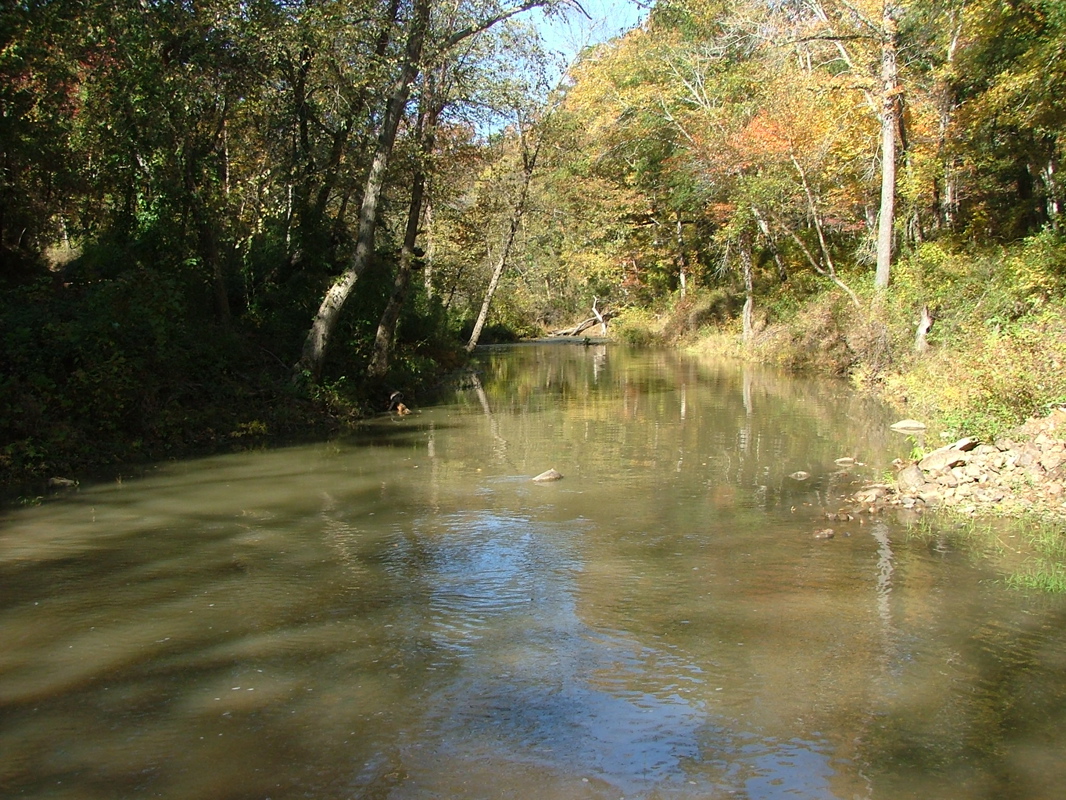 DSCF8172.JPG
