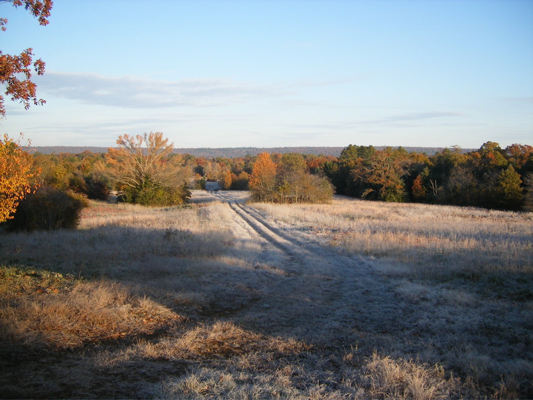DSCF0163