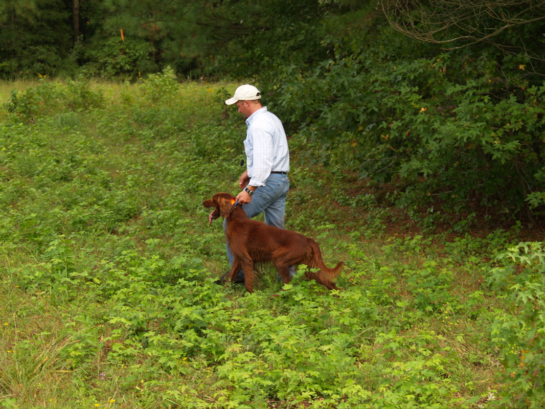 P1010701.JPG