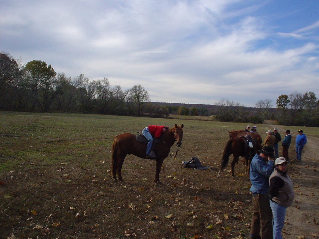 DSC00912.JPG