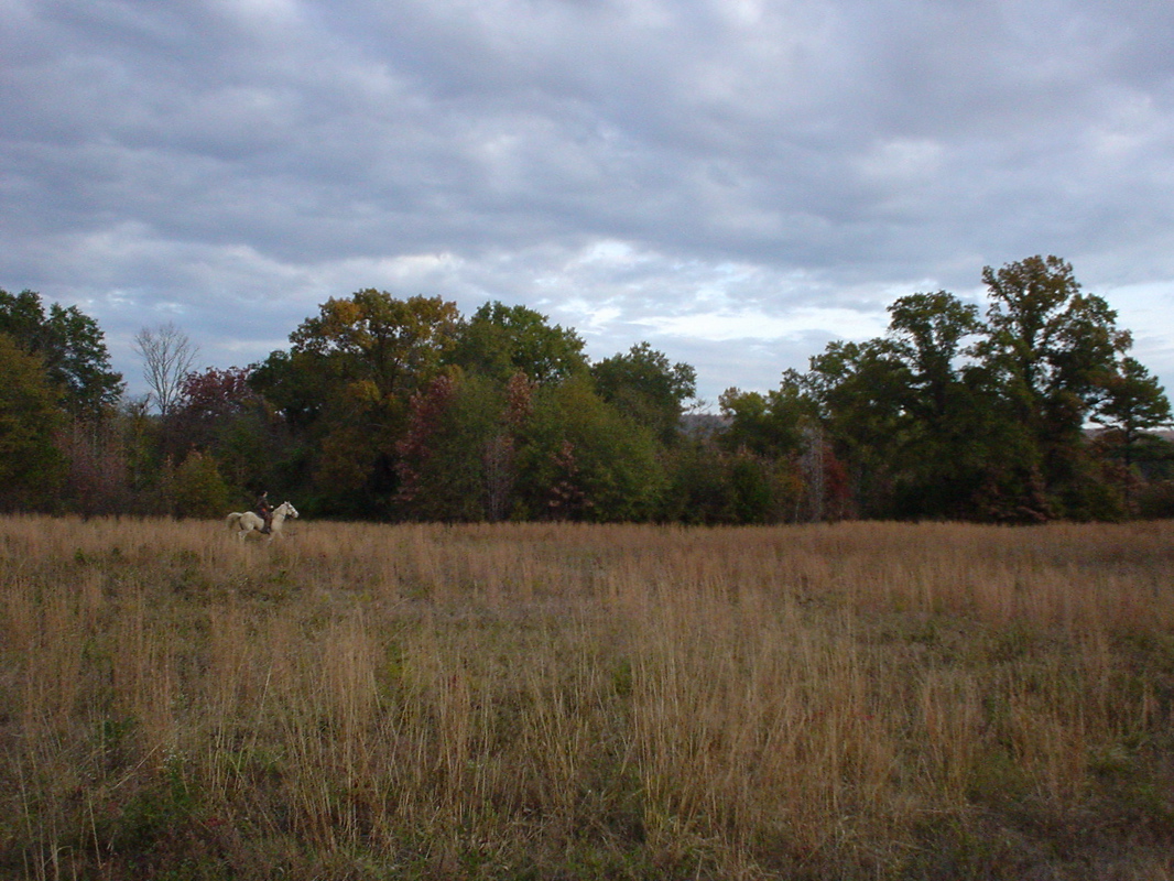DSC00925.JPG
