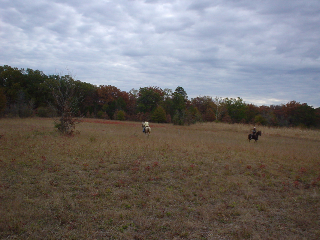 DSC00932.JPG
