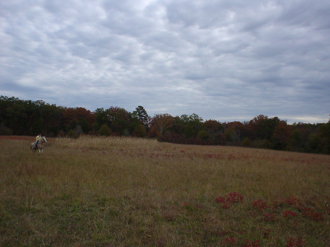 DSC00935.JPG