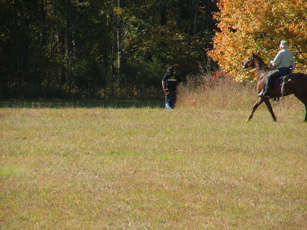 DSCF8175.JPG