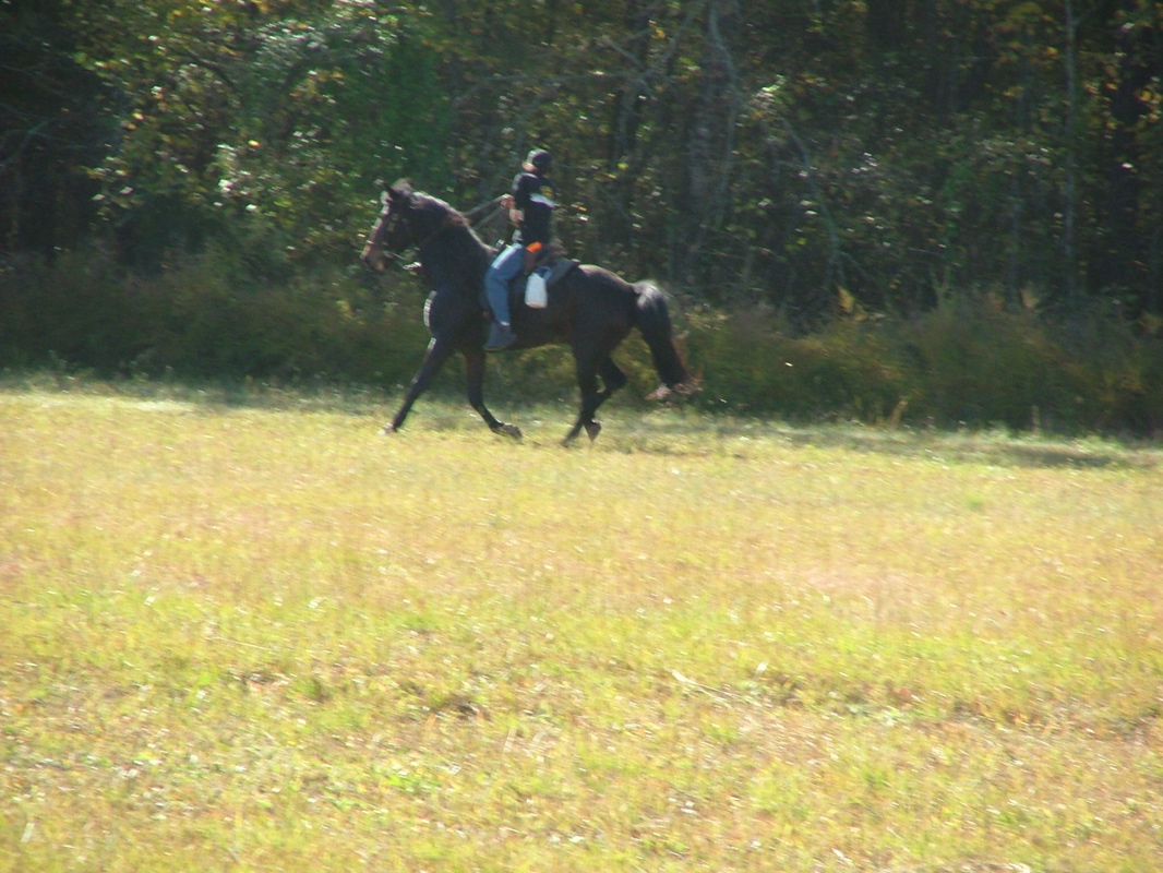 DSCF8176.JPG