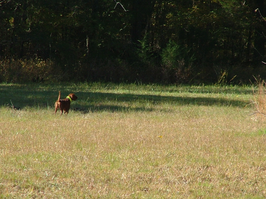 DSCF8177.JPG