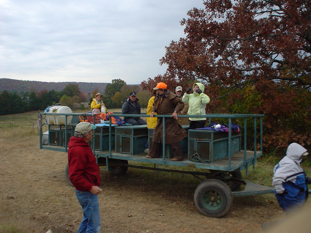 DSC00965.JPG
