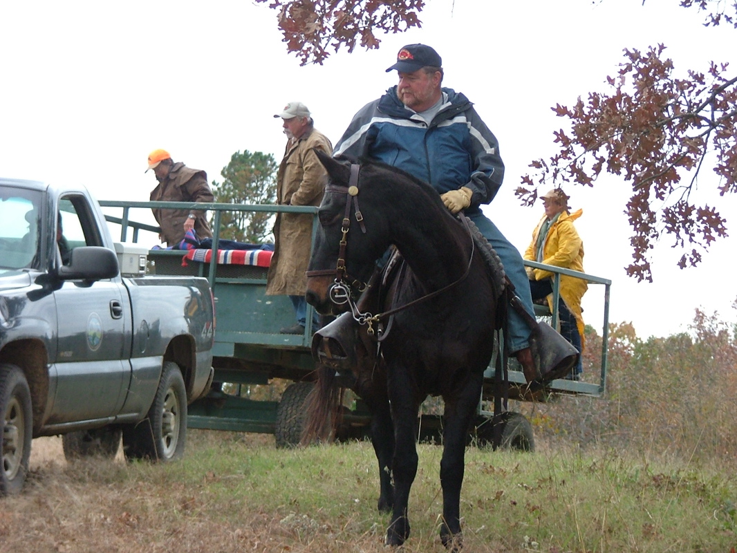 DSCF8440.JPG