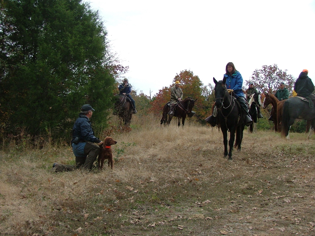 DSCF8443.JPG