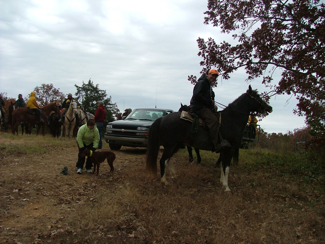 DSCF8446.JPG
