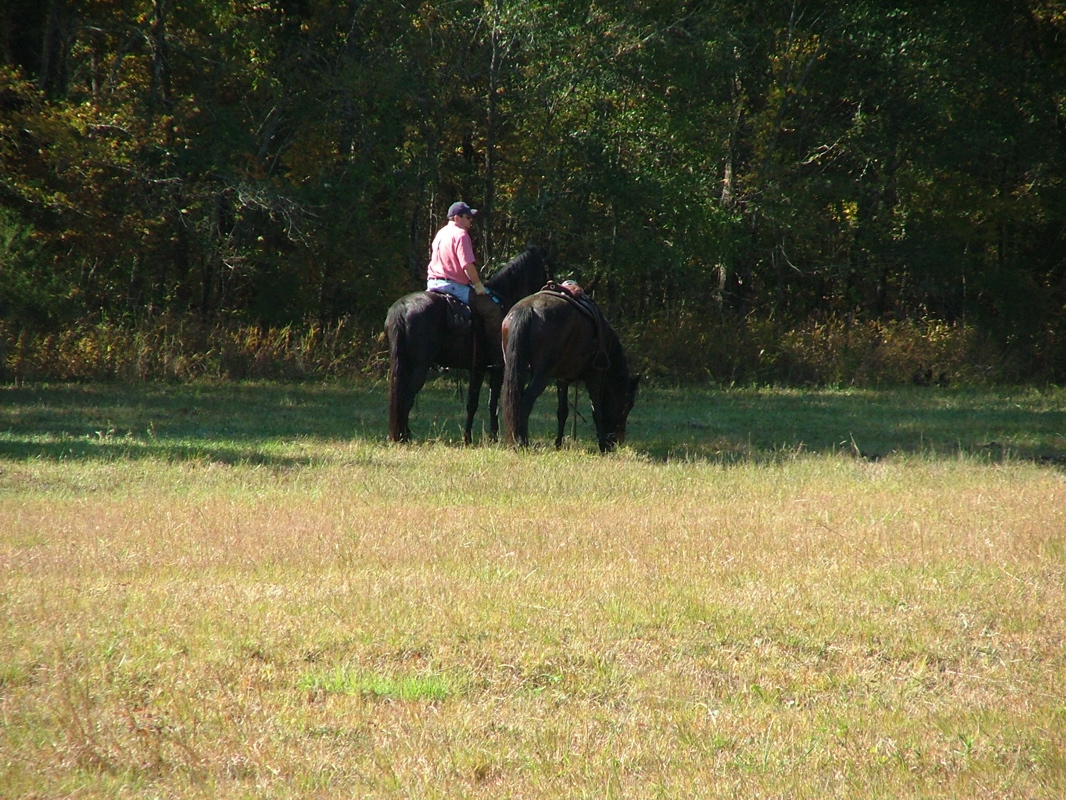 DSCF8179.JPG