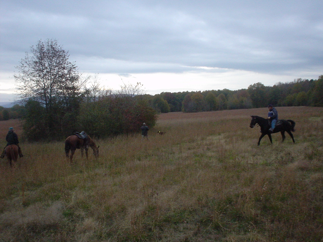 DSC00974.JPG
