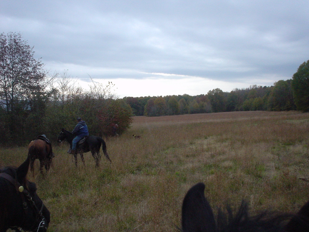 DSC00975.JPG
