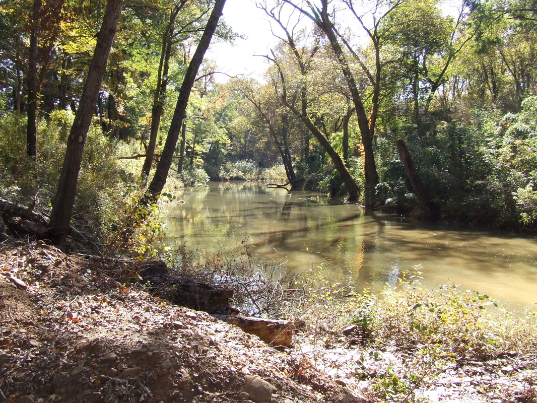 DSCF0222.JPG