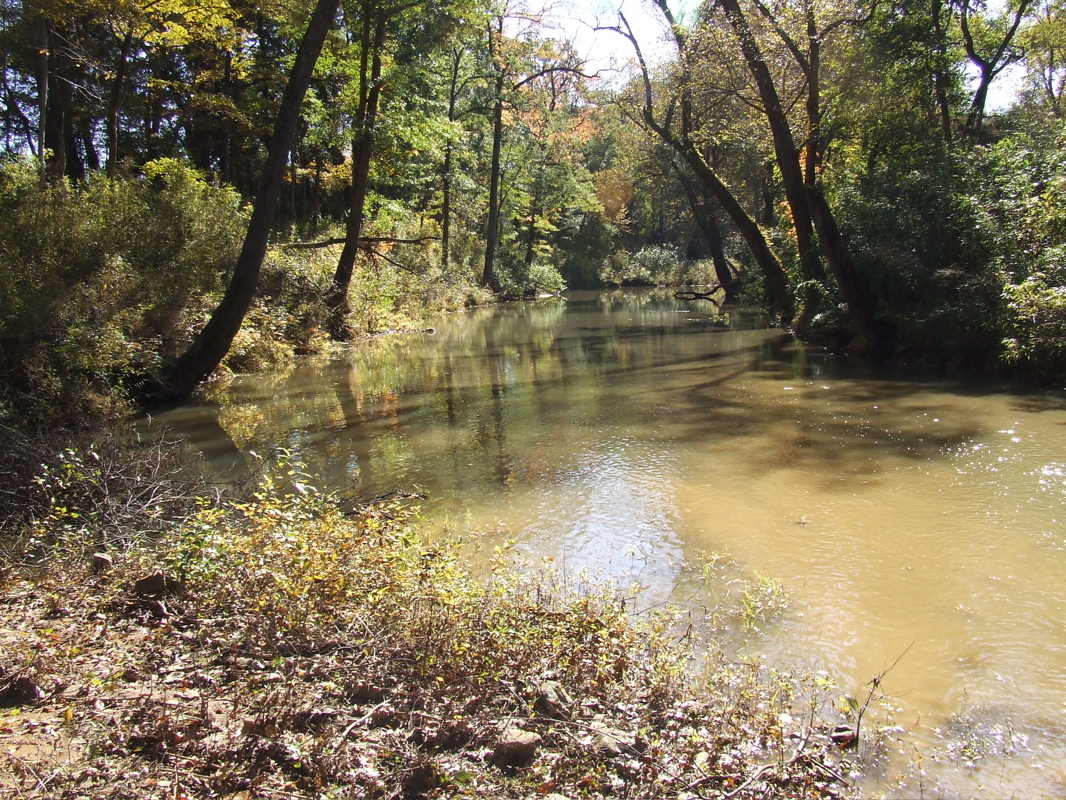 DSCF0223.JPG