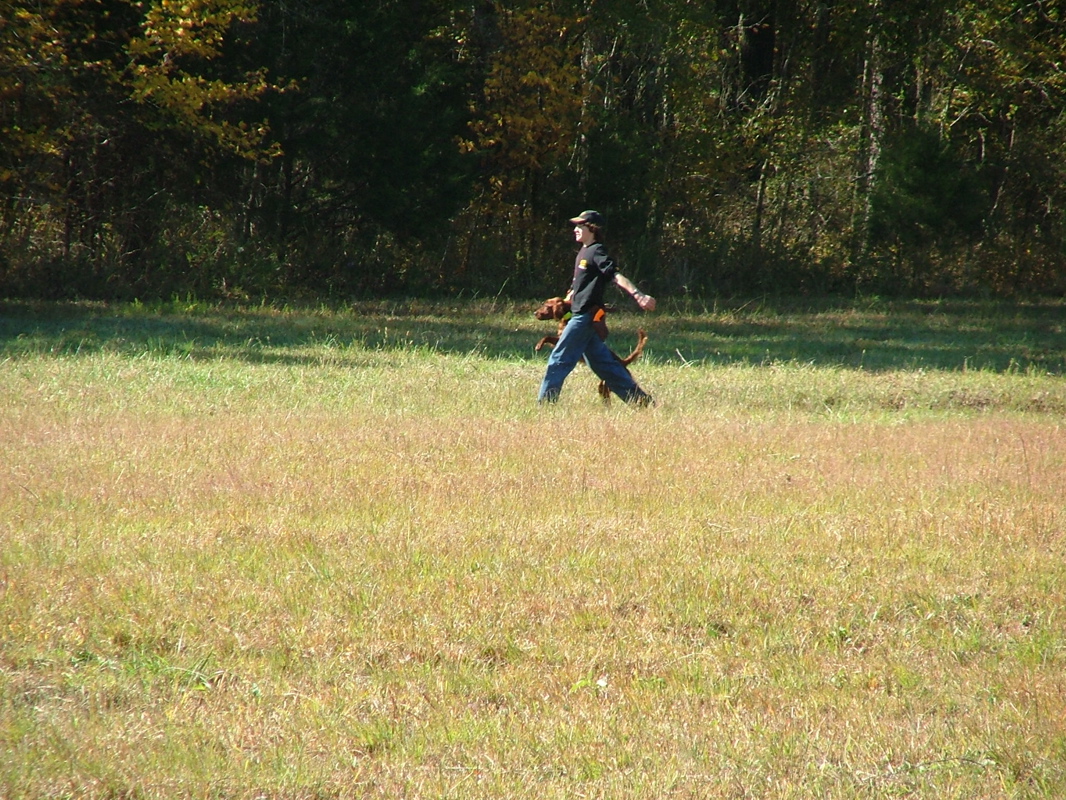 DSCF8180.JPG