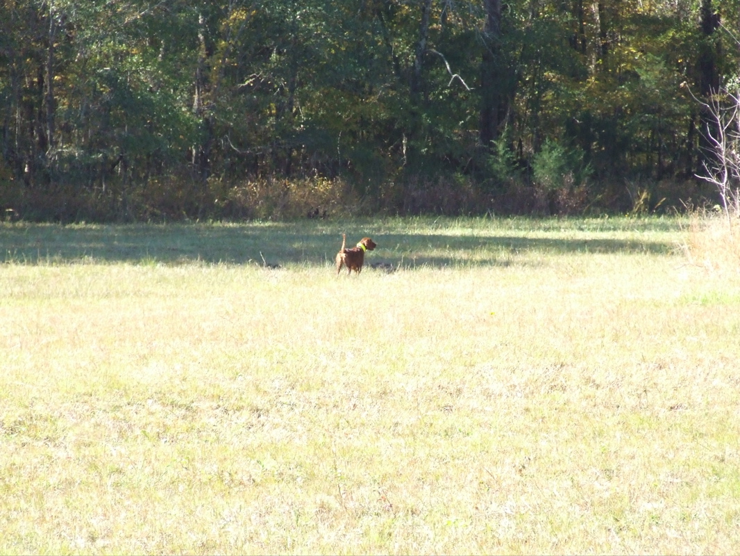 DSCF0224.JPG