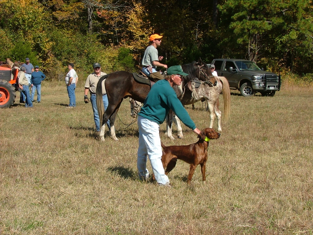 DSCF8184.JPG