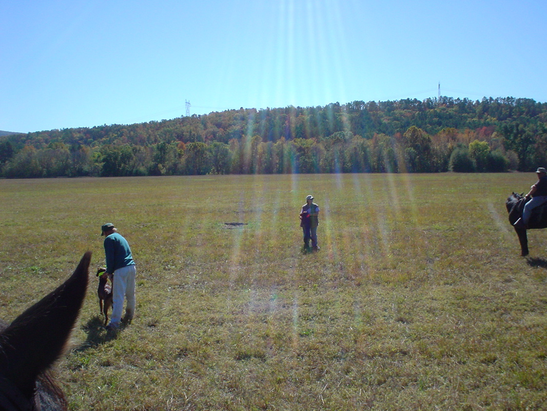 DSC00790.JPG