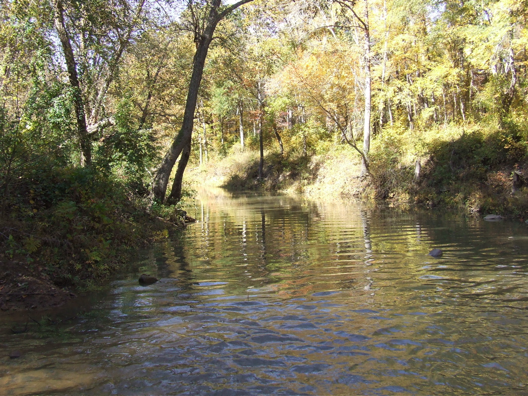 DSCF0225.JPG