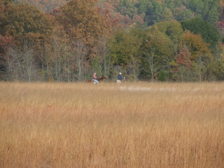 DSCF0230.JPG