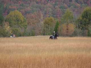 DSCF0231.JPG