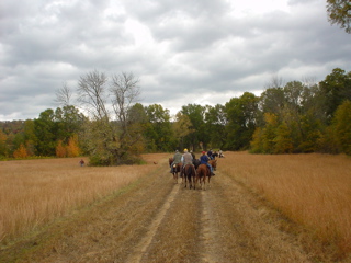 DSC00810.JPG