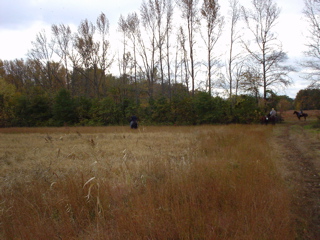 DSC00814.JPG