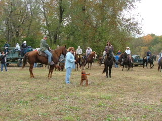 DSCF8215.JPG