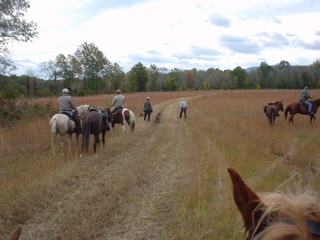 DSC00817.JPG